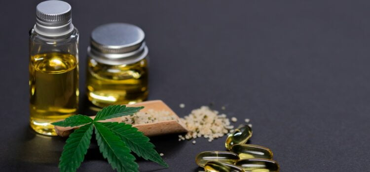 CBD : 4 choses à savoir avant de lancer sa startup